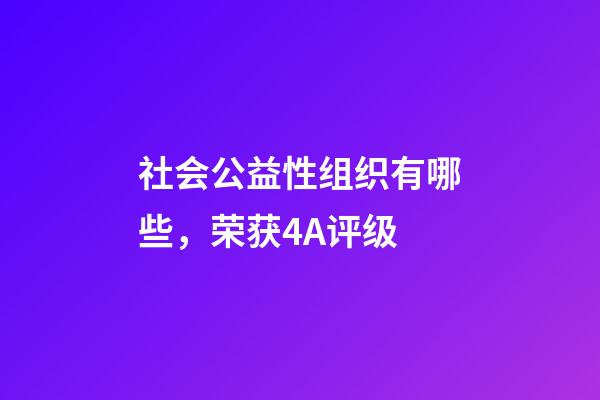 社会公益性组织有哪些，荣获4A评级-第1张-观点-玄机派