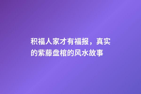 积福人家才有福报，真实的紫藤盘棺的风水故事