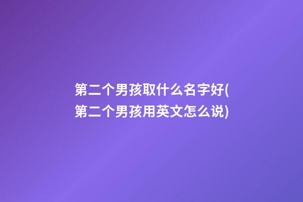 第二个男孩取什么名字好(第二个男孩用英文怎么说)