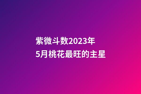 紫微斗数2023年5月桃花最旺的主星