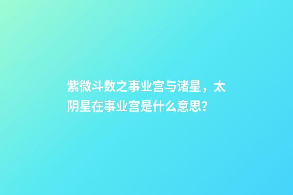 紫微斗数之事业宫与诸星，太阴星在事业宫是什么意思？