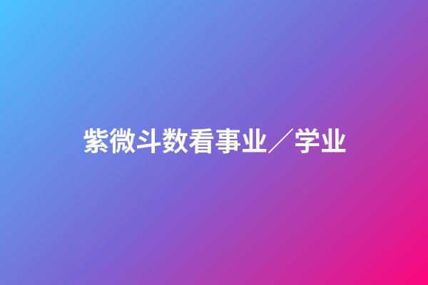 紫微斗数看事业／学业