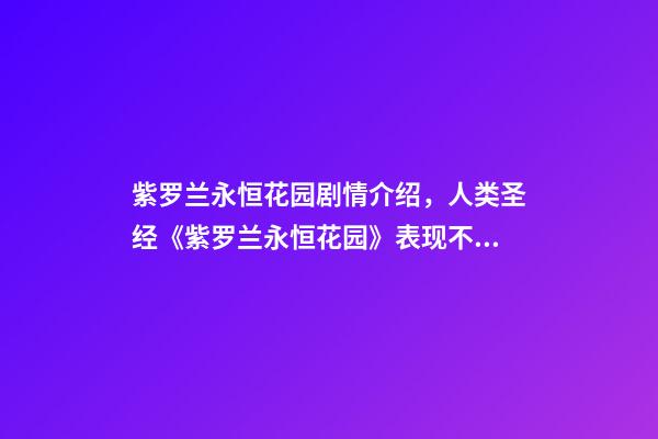 紫罗兰永恒花园剧情介绍，人类圣经《紫罗兰永恒花园》表现不尽人意-第1张-观点-玄机派