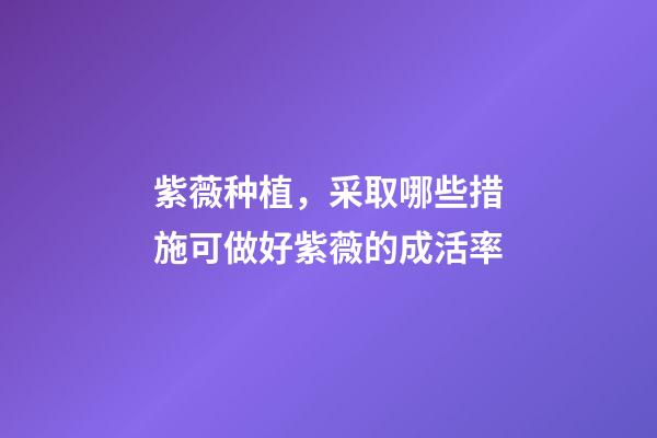 紫薇种植，采取哪些措施可做好紫薇的成活率-第1张-观点-玄机派