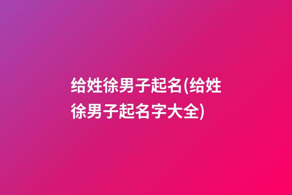 给姓徐男子起名(给姓徐男子起名字大全)