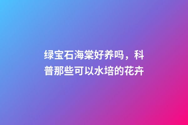 绿宝石海棠好养吗，科普那些可以水培的花卉-第1张-观点-玄机派