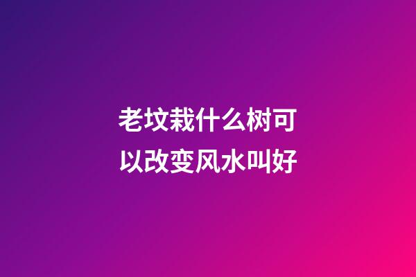 老坟栽什么树可以改变风水叫好