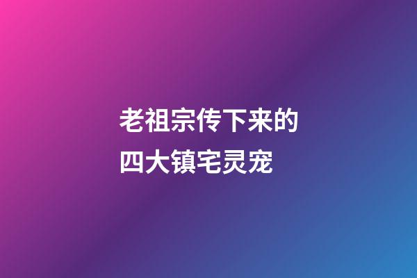 老祖宗传下来的四大镇宅灵宠