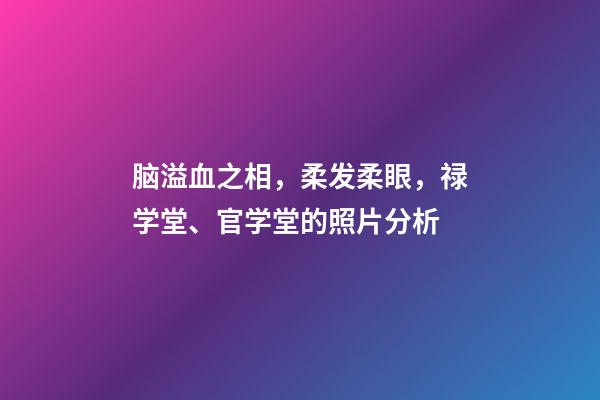 脑溢血之相，柔发柔眼，禄学堂、官学堂的照片分析