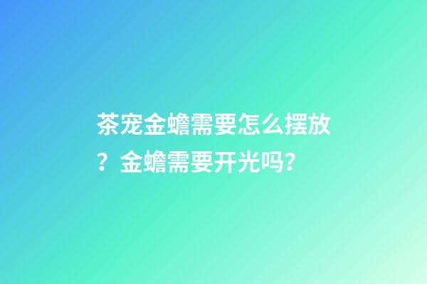 茶宠金蟾需要怎么摆放？金蟾需要开光吗？