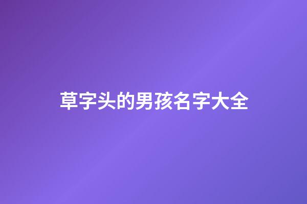 草字头的男孩名字大全