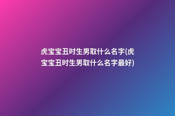 虎宝宝丑时生男取什么名字(虎宝宝丑时生男取什么名字最好)