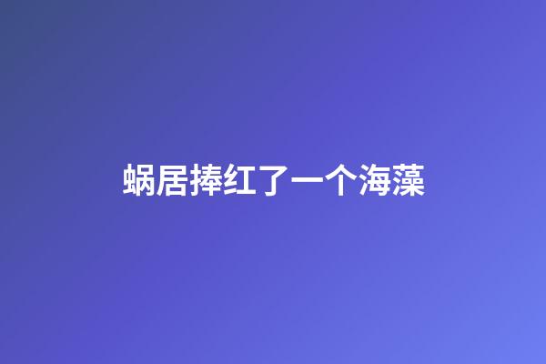 蜗居捧红了一个海藻