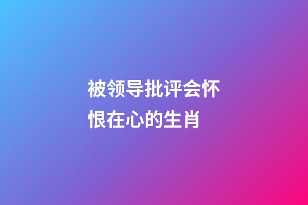 被领导批评会怀恨在心的生肖