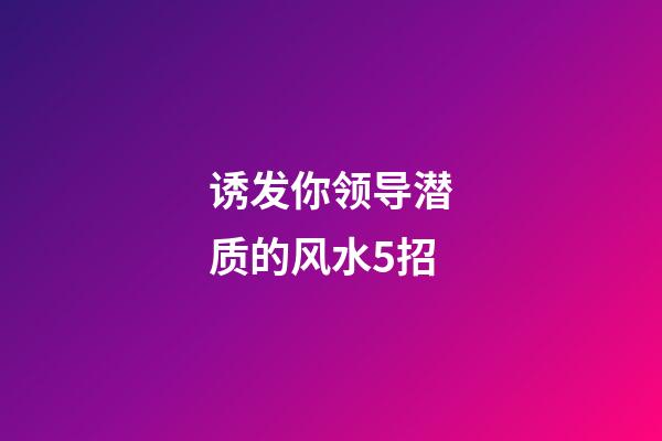 诱发你领导潜质的风水5招