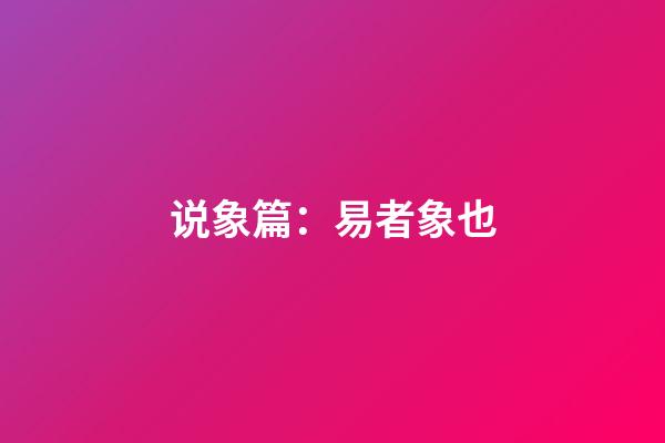 说象篇：易者象也