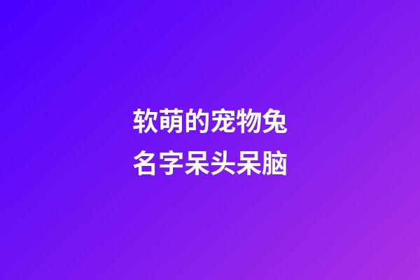 软萌的宠物兔名字呆头呆脑