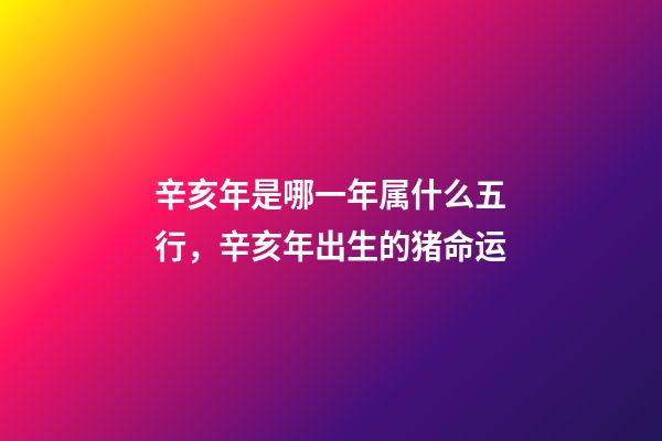 辛亥年是哪一年属什么五行，辛亥年出生的猪命运