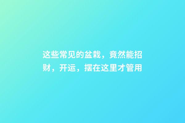 这些常见的盆栽，竟然能招财，开运，摆在这里才管用