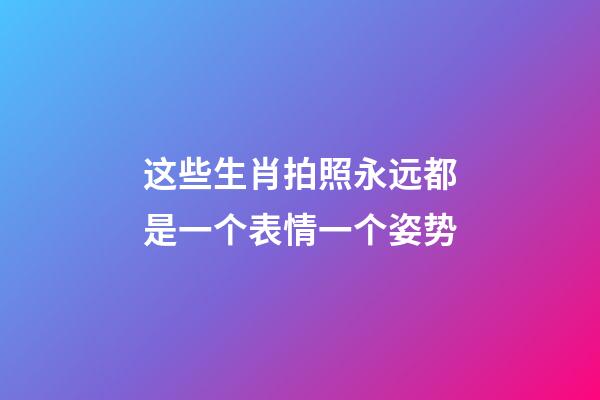 这些生肖拍照永远都是一个表情一个姿势