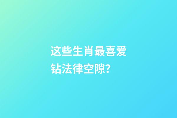 这些生肖最喜爱钻法律空隙？