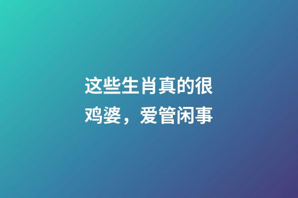 这些生肖真的很鸡婆，爱管闲事