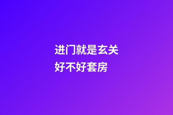 进门就是玄关好不好套房