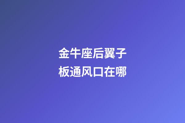 金牛座后翼子板通风口在哪-第1张-星座运势-玄机派