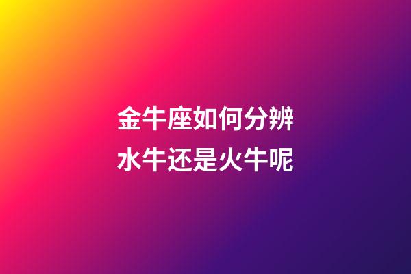 金牛座如何分辨水牛还是火牛呢