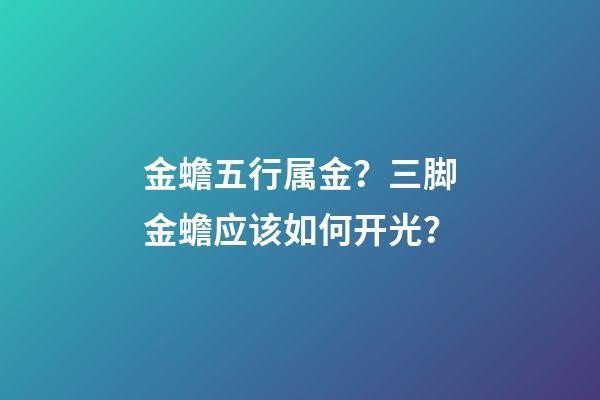 金蟾五行属金？三脚金蟾应该如何开光？