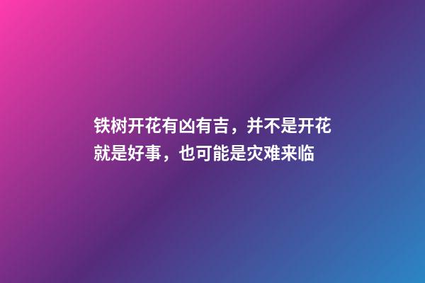 铁树开花有凶有吉，并不是开花就是好事，也可能是灾难来临