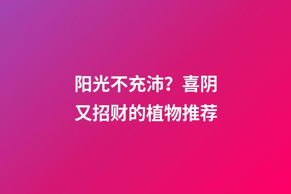 阳光不充沛？喜阴又招财的植物推荐