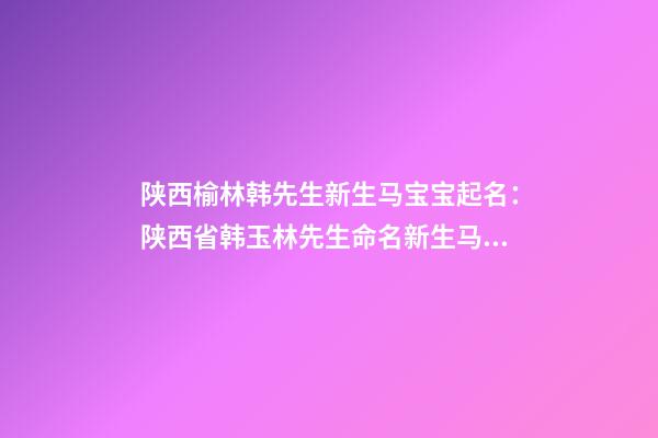 陕西榆林韩先生新生马宝宝起名：陕西省韩玉林先生命名新生马宝宝-第1张-公司起名-玄机派