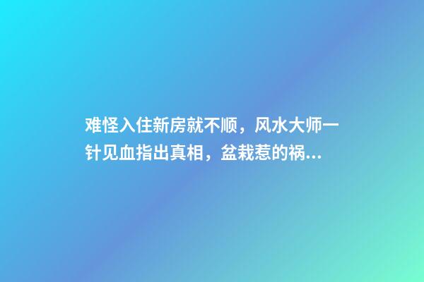 难怪入住新房就不顺，风水大师一针见血指出真相，盆栽惹的祸！