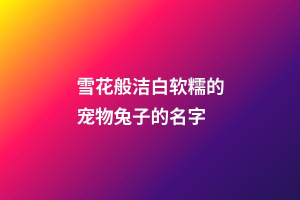 雪花般洁白软糯的宠物兔子的名字