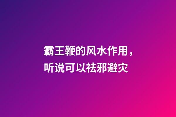 霸王鞭的风水作用，听说可以祛邪避灾