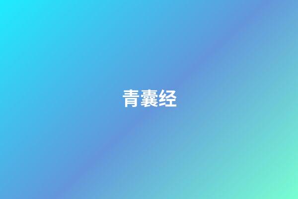 青囊经