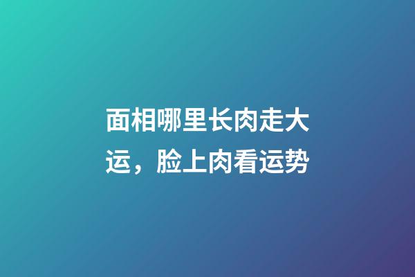 面相哪里长肉走大运，脸上肉看运势