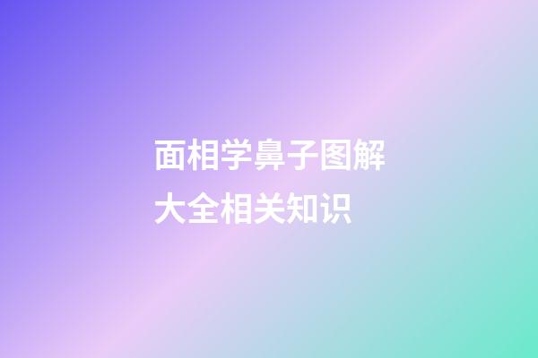 面相学鼻子图解大全相关知识