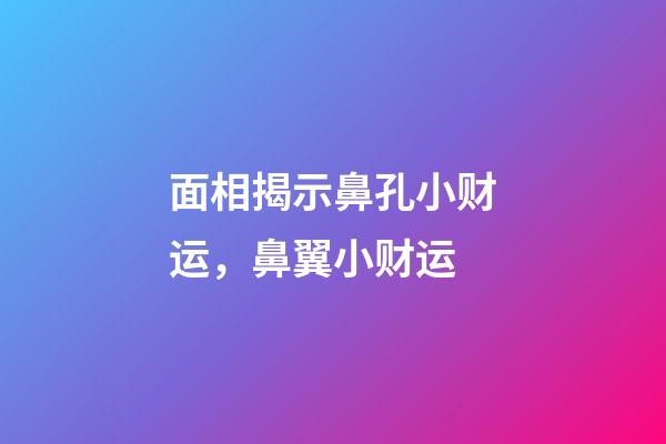 面相揭示鼻孔小财运，鼻翼小财运