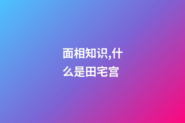 面相知识,什么是田宅宫