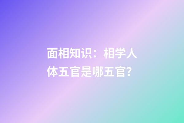 面相知识：相学人体五官是哪五官？