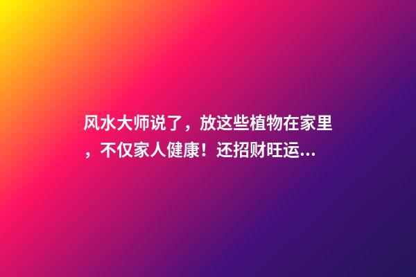 风水大师说了，放这些植物在家里，不仅家人健康！还招财旺运！