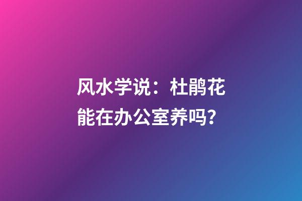 风水学说：杜鹃花能在办公室养吗？