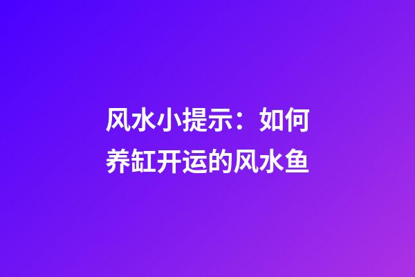 风水小提示：如何养缸开运的风水鱼