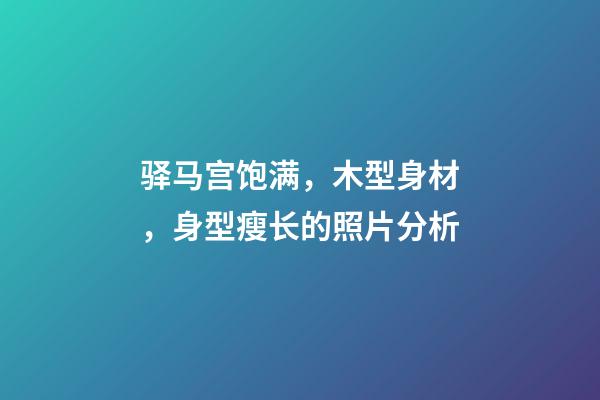 驿马宫饱满，木型身材，身型瘦长的照片分析