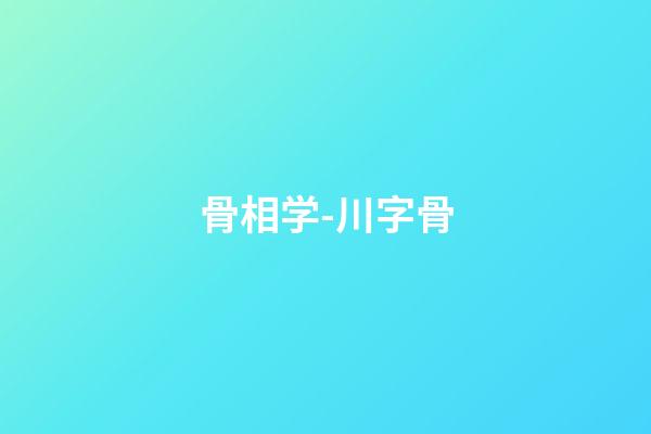 骨相学-川字骨