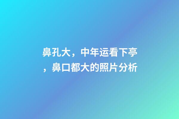 鼻孔大，中年运看下亭，鼻口都大的照片分析