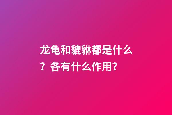 龙龟和貔貅都是什么？各有什么作用？